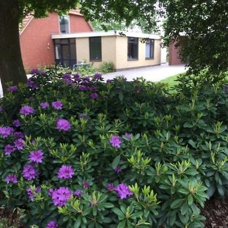 Bed and Breakfast Speldehof Kraggenburg Екстер'єр фото