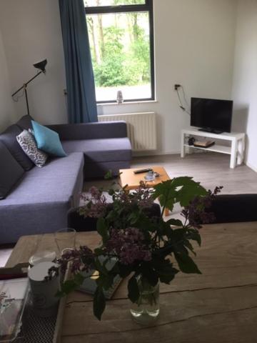 Bed and Breakfast Speldehof Kraggenburg Екстер'єр фото