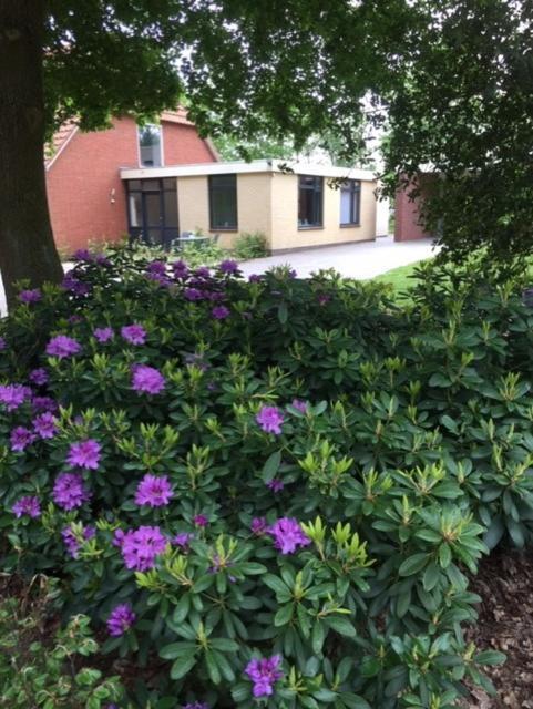 Bed and Breakfast Speldehof Kraggenburg Екстер'єр фото